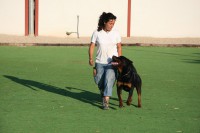 /album/trabajo-deportivo/maxii-de-breogan-en-fuss-jpg/